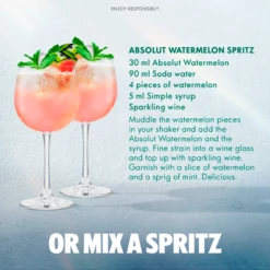 Absolut Watermelon Vodka 70cl -Best Liquor Shop absolut watermelon vodka lifestyle2