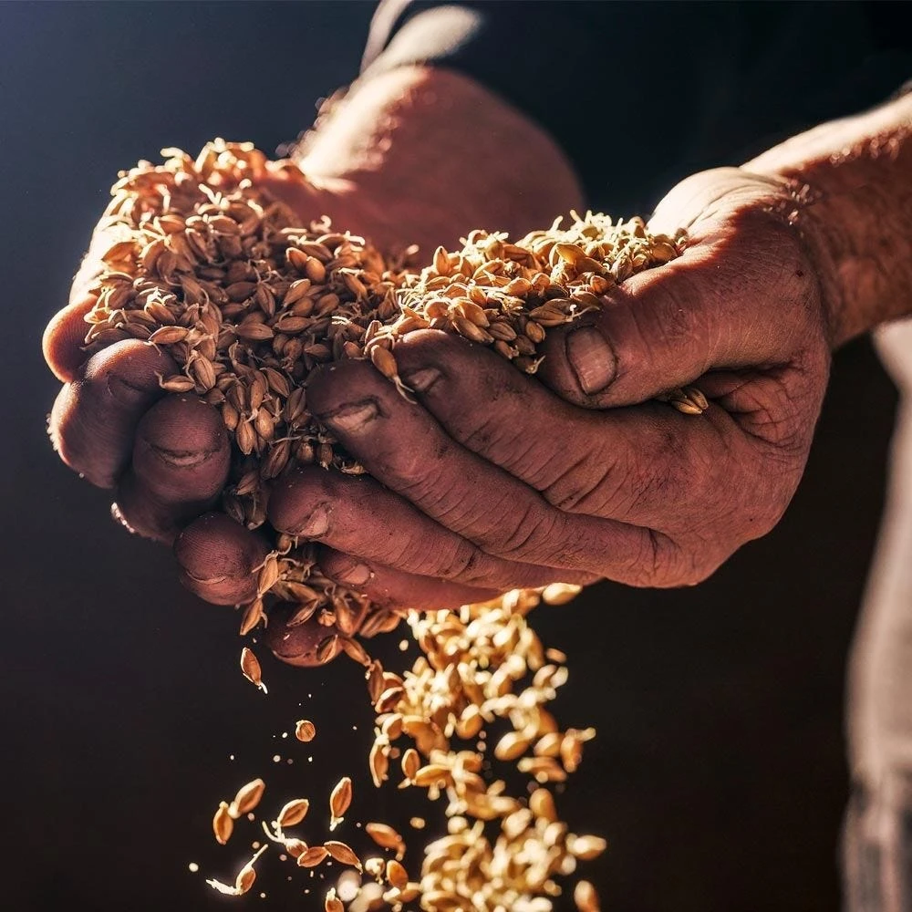 Bowmore 15 Year Whisky 70cl 2 Bowmore 15 Year Whisky 70cl - Image 2