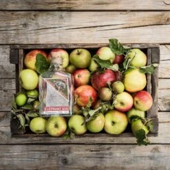 Elephant Gin 50cl -Best Liquor Shop elephant gin 50cl lifestyle 01