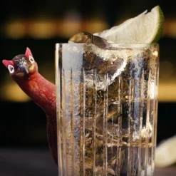 Famous Grouse Whisky 1Ltr -Best Liquor Shop famous grouse whisky lifestyle2 5