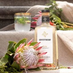 Inverroche Verdant Gin 70cl -Best Liquor Shop inverroche verdant gin lifestyle3