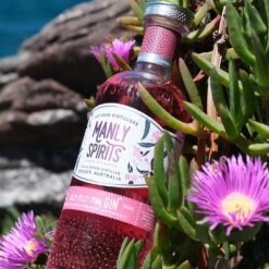 Manly Spirits Lilly Pilly Pink Gin 70cl -Best Liquor Shop manly spirit lilly pilly pink gin ls2