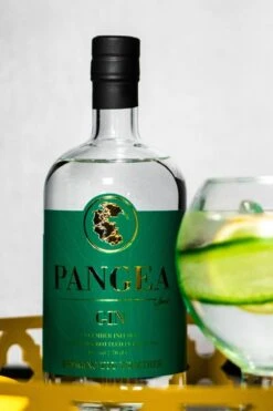 Pangea Spirit Gin 70cl -Best Liquor Shop pangea gin 70cl lifestyle 2