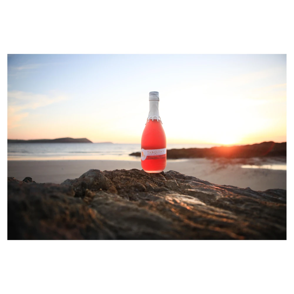 Tarquin's Rhubarb & Raspberry Gin 70cl 3 Tarquin's Rhubarb & Raspberry Gin 70cl - Image 3