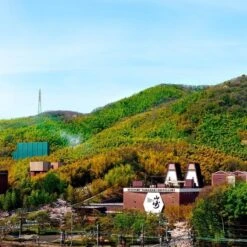 Yamazaki 12 Year Japanese Whisky 70cl -Best Liquor Shop yamazaki lifestyle 01